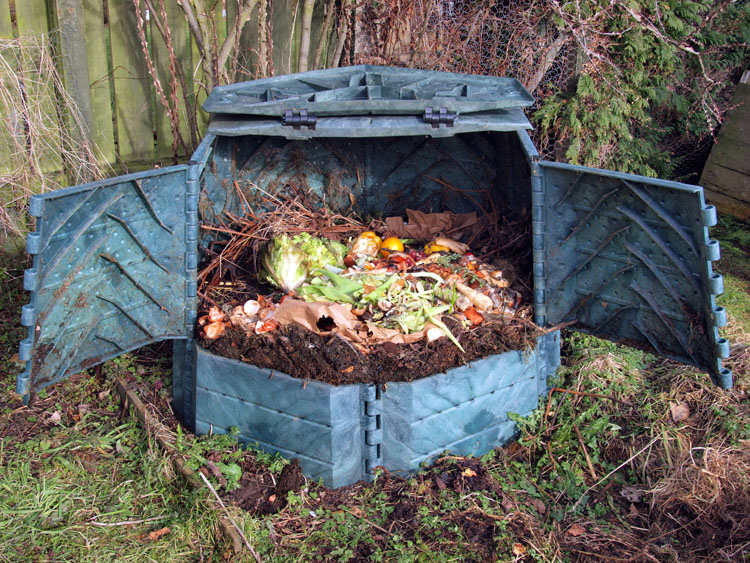 A photograph of a compost bin shows it with open doors revealing fresh food scraps sitting on top of composting soil underneath.  