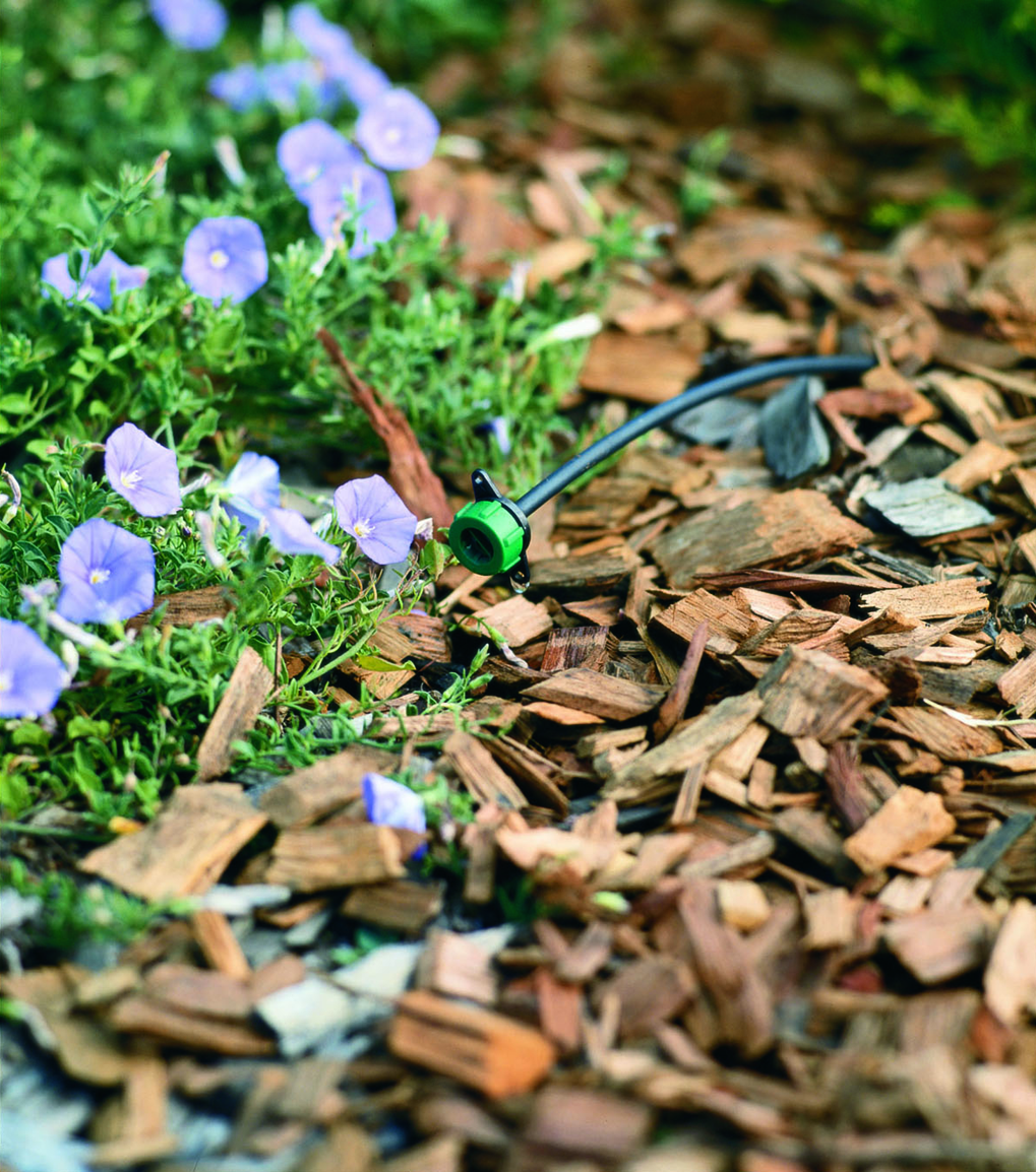 An image shows a drip irrigation system emerging from mulched ground, adjacent to a ground-covering plant.